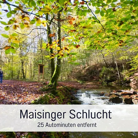 Seezeit Am Muehlbach Bright Collection Apartment