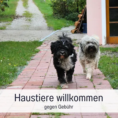 Apartment Seezeit Familiennest
